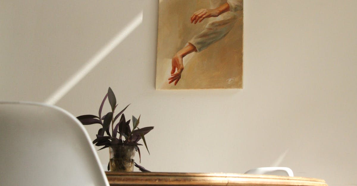 découvrez nos conseils et astuces pour réussir la peinture de vos meubles. donnez une seconde vie à votre mobilier avec des techniques simples et des idées inspirantes de peinture pour meubles !