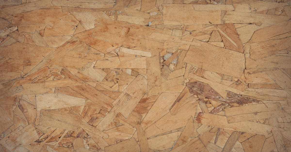 découvrez tout sur les hardwoods : caractéristiques, avantages, utilisations et conseils pour choisir le meilleur bois dur pour vos projets de construction ou de décoration intérieure.