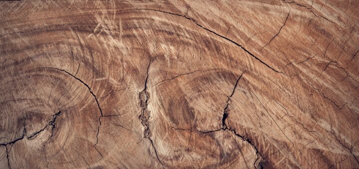 découvrez les bois durs : leurs caractéristiques, utilisations courantes en menuiserie et avantages pour des projets durables et esthétiques.
