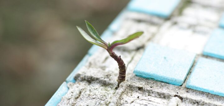 découvrez nos techniques de perçage de carrelage pour réaliser des trous précis et propres sans fissurer vos carreaux. conseils d'experts, outils recommandés et astuces pour réussir vos travaux de perçage sur carrelage.