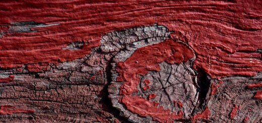 découvrez comment obtenir un effet bois vieilli authentique pour votre décoration intérieure avec nos astuces et conseils pratiques. idéal pour donner du caractère à vos meubles et surfaces en bois.