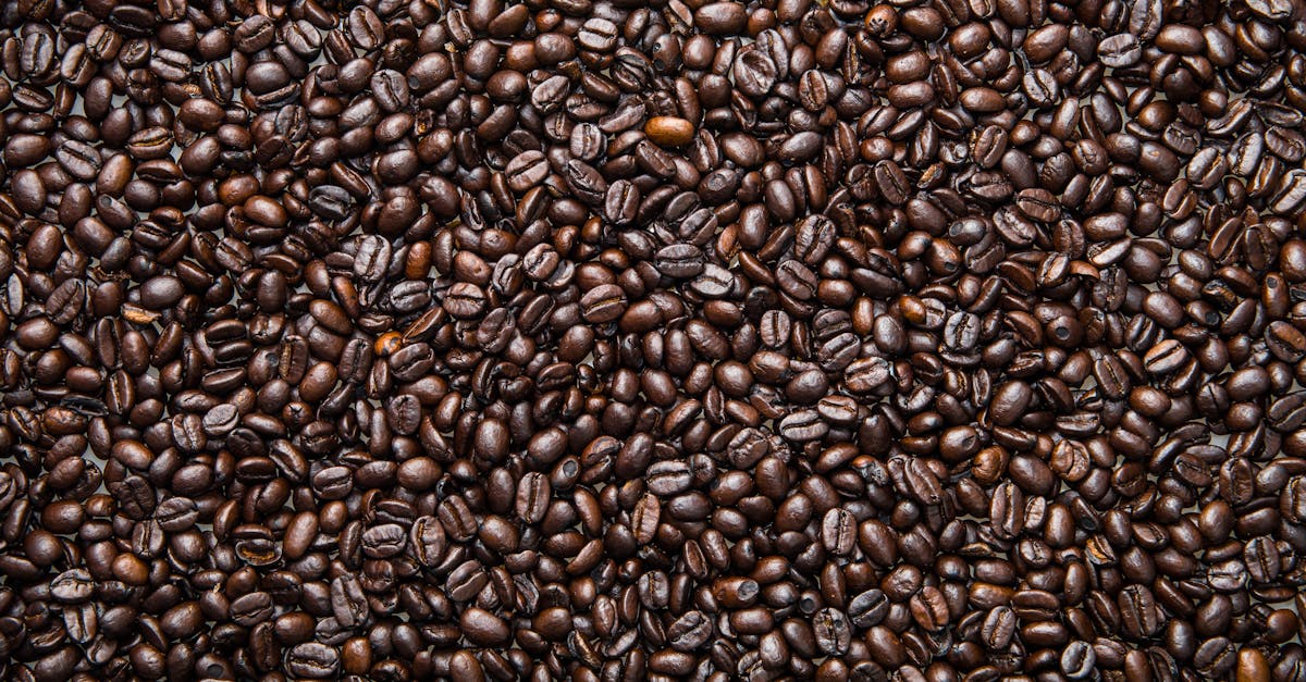 découvrez le confort ultime avec un beanbag : un fauteuil moderne, conçu pour épouser parfaitement vos formes et offrir un espace de détente aussi stylé que douillet. idéal pour tous les intérieurs !