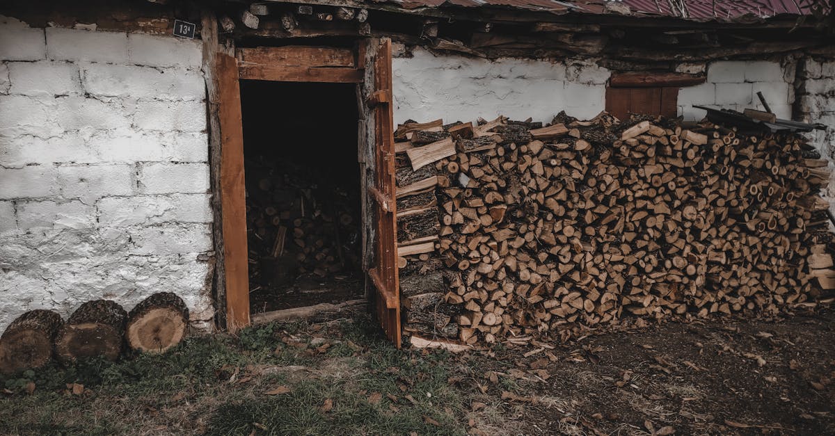 découvrez des solutions pratiques et esthétiques pour le stockage du bois de chauffage. protégez votre bois des intempéries et optimisez l’espace avec nos idées de rangement adaptées à tous les besoins.