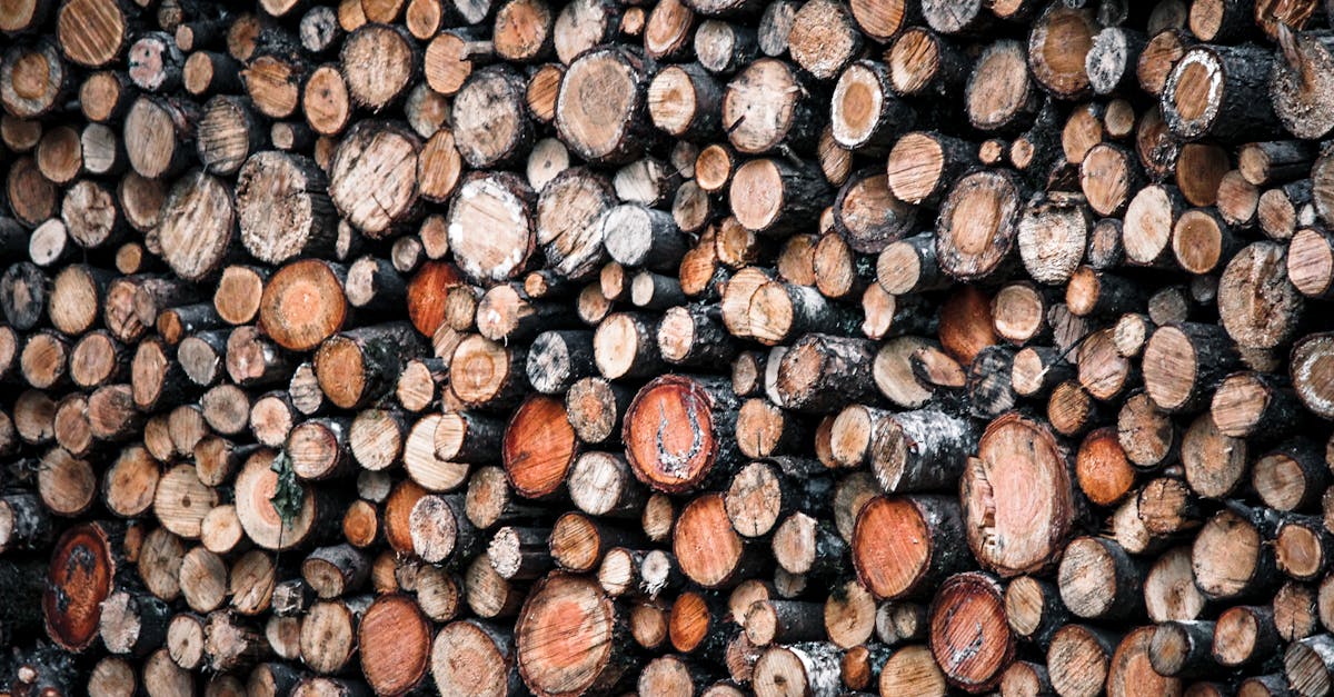 découvrez nos solutions de rangement pour bois de chauffage : astuces, conseils et idées pratiques pour stocker votre bois à l'intérieur ou à l'extérieur, tout en préservant sa qualité et votre espace de vie.