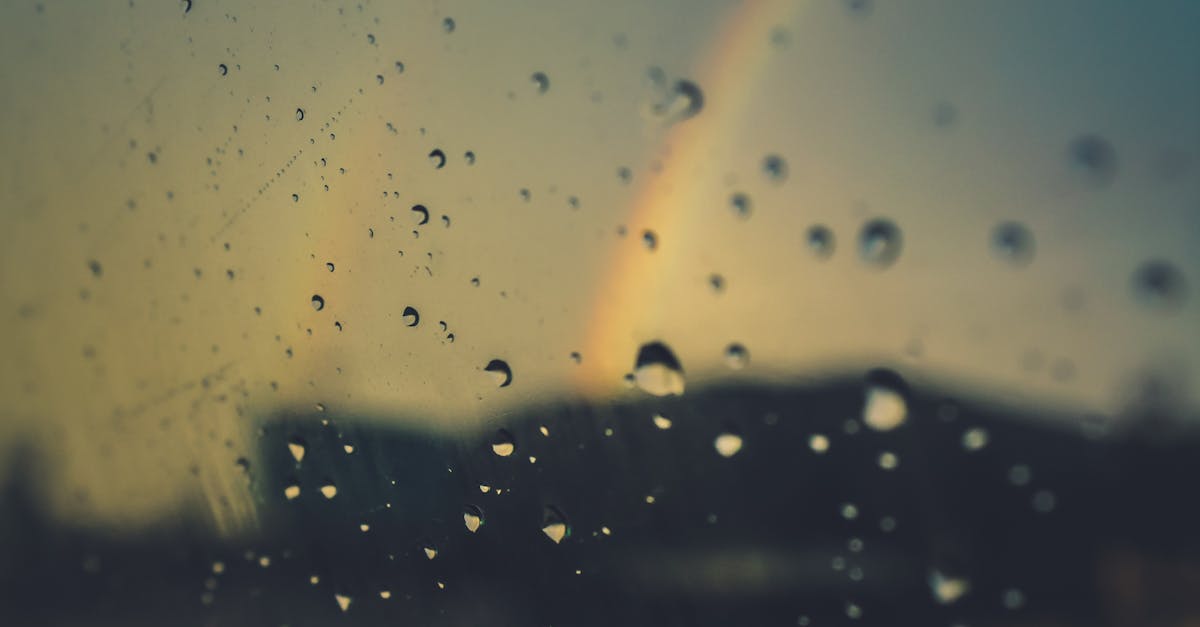 découvrez comment un absorbeur d'humidité peut protéger votre intérieur de l'excès d'humidité, prévenir la moisissure et améliorer la qualité de l'air. solutions efficaces pour une maison saine.