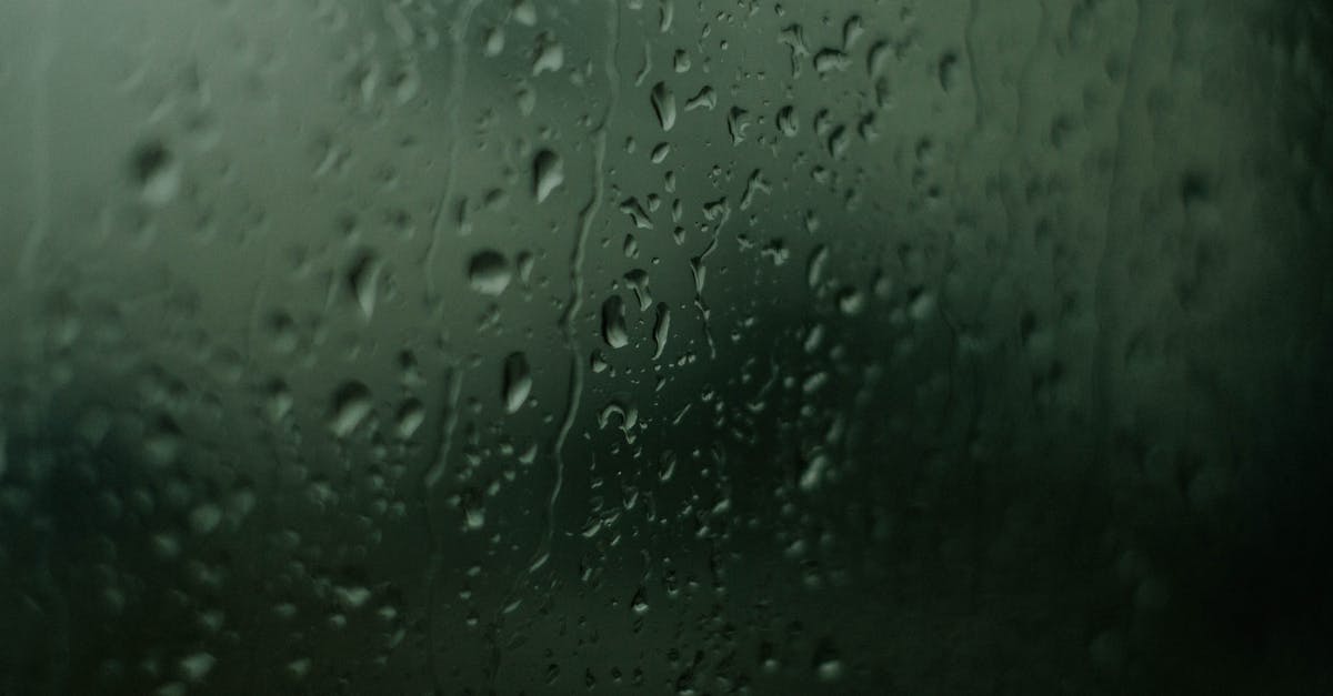 découvrez notre absorbeur d'humidité efficace pour protéger votre maison contre l'excès d'humidité, prévenir la moisissure et garantir un air sain. solution pratique et facile à utiliser.