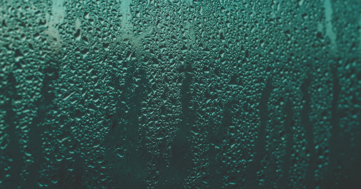 découvrez comment un absorbeur d'humidité peut améliorer la qualité de l'air dans votre maison en éliminant l'excès d'humidité, prévenant ainsi moisissures et mauvaises odeurs. idéal pour toutes les pièces humides.