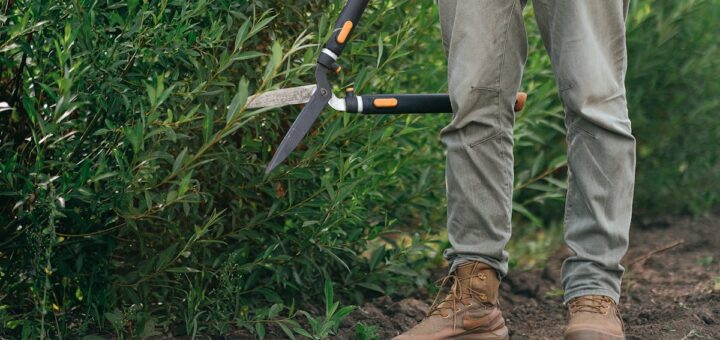 découvrez tout sur l'art de la taille : conseils, techniques et astuces pour bien tailler vos arbres, arbustes et plantes afin de favoriser leur croissance et leur santé.