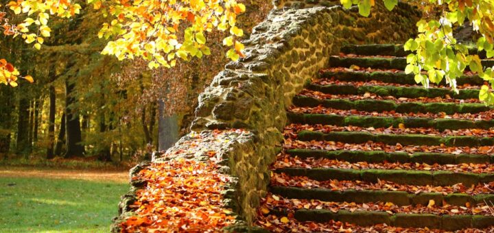 découvrez comment aménager des escaliers de jardin pentus pour faciliter l'accès et embellir vos espaces extérieurs. idées, conseils et inspirations pour des marches sécurisées et esthétiques.
