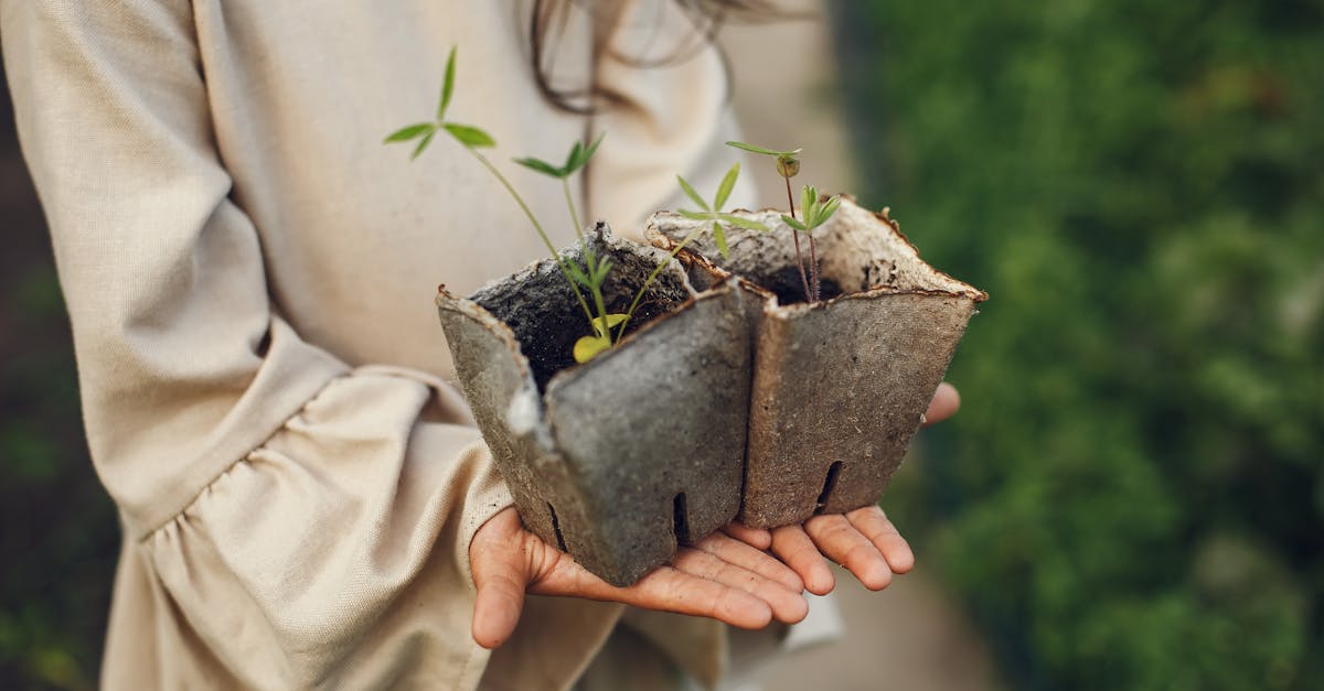 découvrez tout ce qu'il faut savoir sur le topsoil : ses caractéristiques, ses avantages pour vos plantations et conseils pour choisir la meilleure terre végétale pour votre jardin ou potager.
