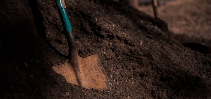 découvrez tout ce qu’il faut savoir sur la topsoil : son utilité, ses avantages pour votre jardin, et comment choisir la meilleure terre végétale pour des plantations réussies.